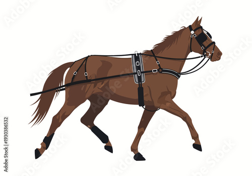 Side view of a bay horse equipped for harness racing competition