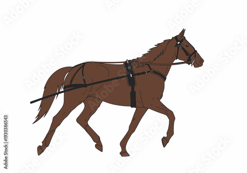 Illustration of a trotter horse with harness and blinkers