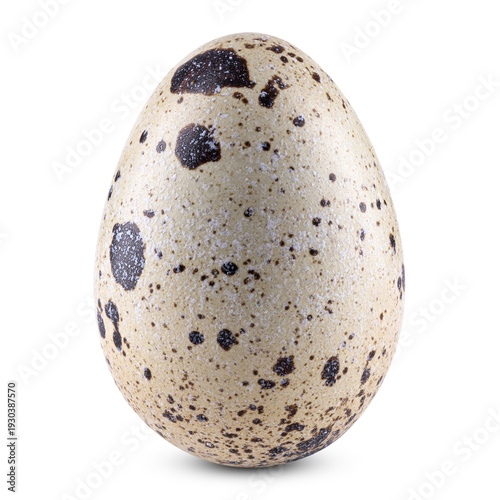 Quail egg isolated on transparent background