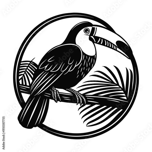 Black and white toucan vector illustration