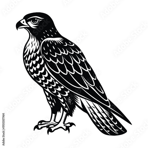 Vector illustration of a black and white falcon