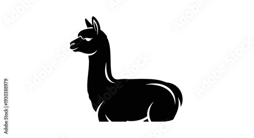 Black llama profile side view.