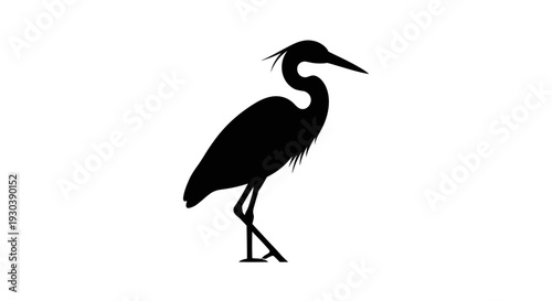 Silhouette of a standing heron bird.