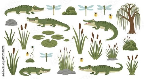 Collection of cartoon alligators, dragonflies, beetles, reeds, water lilies, rocks, and a willow tree in a swamp ecosystem illustration