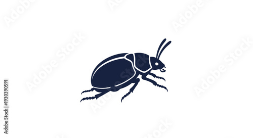 Closeup of a Black Beetle Insect.