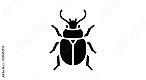 Black beetle insect silhouette closeup.