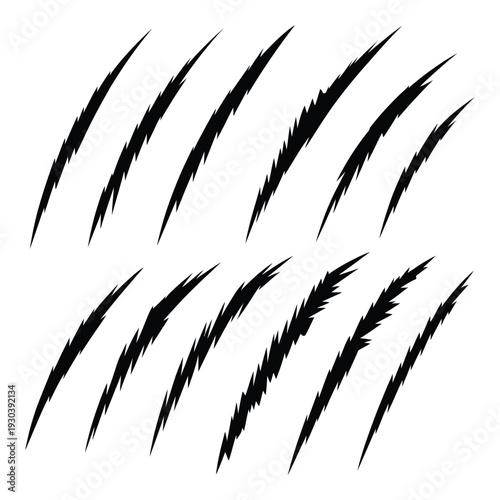 Black Claw Marks on White Background Animal Scratch Effect