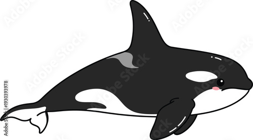 Cute Cartoon Orca Killer Whale Vector Illustration, Adorable Sea Mammal Character Swimming Isolated on White Background for Kids Nursery Decor