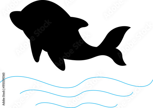 vector illustration of a dolphin