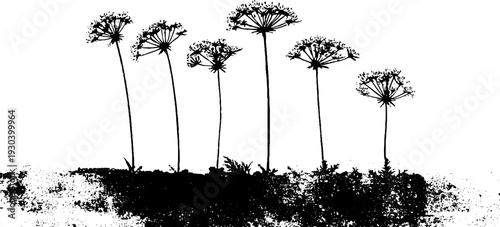 High contrast stencil style flower bed silhouette for artistic design