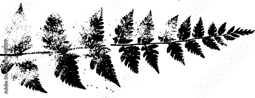 Frost crystal fern stencil in high contrast abstract design