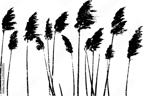 Abstract stencil style frozen reed stalks in high contrast design for artistic prints