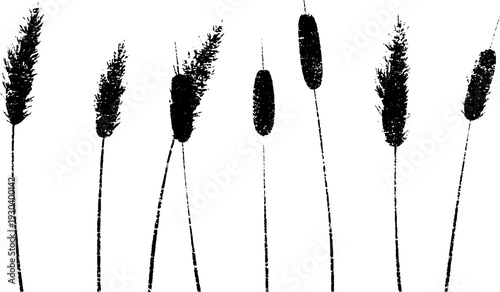 Abstract frozen reed stalk nodes in high contrast stencil style for nature design