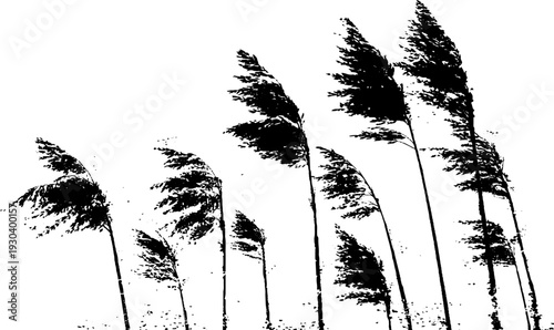 Winter elegance of frozen reed stalks in high contrast stencil art