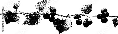 High contrast grape trellis wire stencil design for art and decoration