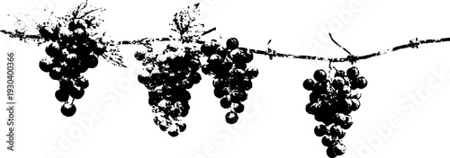 High contrast abstract grape trellis design for decor and crafts