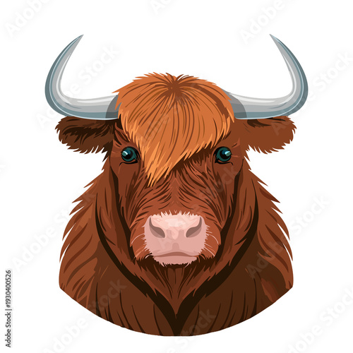 Highland cow head in a simple design showing characteristic fur and horns with a plain white background in a graphic style