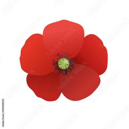 Red poppy flower with smooth petals and green center captured in a simple design on a white background