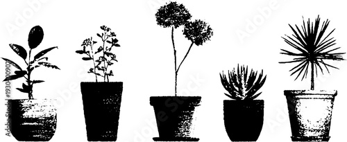 High contrast houseplant pot silhouettes for botanical design