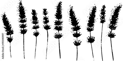 High contrast lavender spike florets stencil art for nature-inspired designs