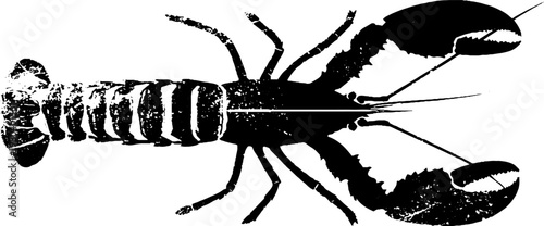 Abstract lobster with curved antenna in high contrast stencil style for nautical design