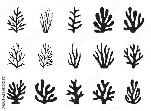 Collection of stylized black coral and seaweed silhouettes on white background