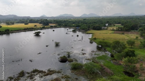 A beautiful 360° drone view of nature and a calm water pond. Green fields, open sky, and peaceful reflections create a serene and refreshing landscape.