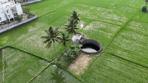 Drone footage from above shows a beautiful round well beside lush green paddy fields. The neat rows of rice crops and calm rural surroundings create a peaceful village scene from the sky.