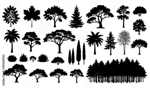 Detailed individual and group tree silhouettes vector collection isolated on white