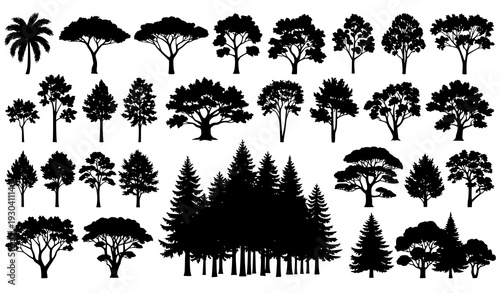 Detailed individual and group tree silhouettes vector collection isolated on white