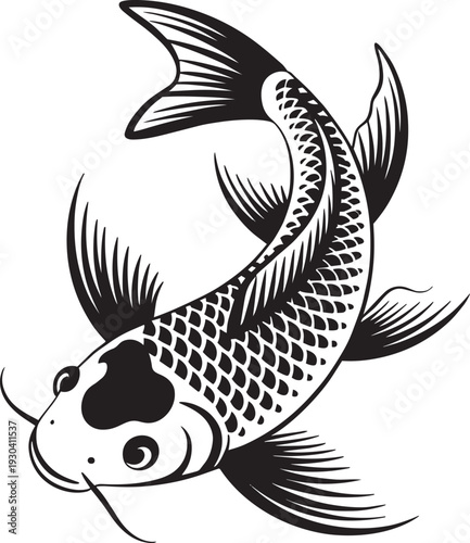Koi fish swimming vector illustration japanese carp animal art oriental aquatic life graphics