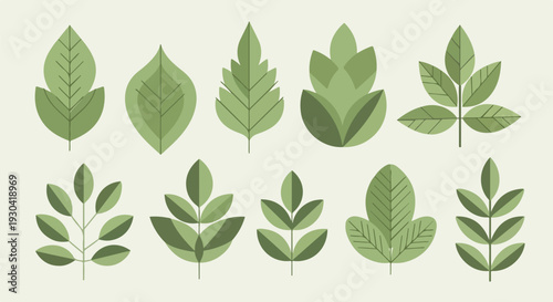Stylized, geometric illustrations of various green leaves