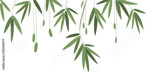 Minimalist hanging bamboo leaves illustration, elegant green botanical background, Asian inspired natural foliage design isolated on white backdrop