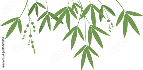 Minimalist hanging bamboo leaves background, elegant green botanical branch illustration, Asian inspired natural foliage design isolated on white