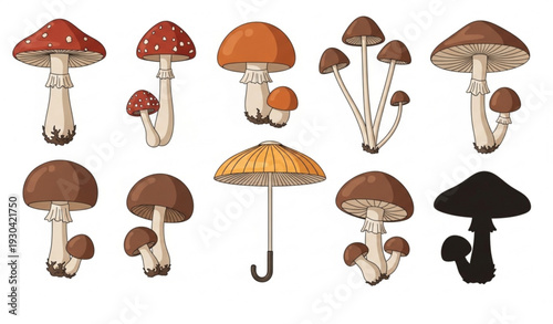 Fabulous Mushroom Caps and Stems Flat Vector Collection