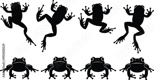 Frog silhouettes set jumping and sitting poses isolated on white background amphibian animal collection