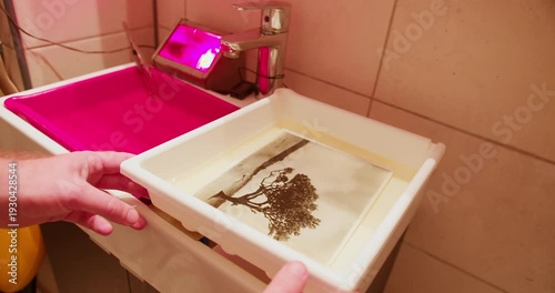 Photographic print fixing in darkroom as part of classic analog photography workflow. Manual print finishing process