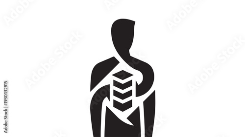 Human Body Silhouette with Visible Ribcage and Internal Organs Isolated on White Background