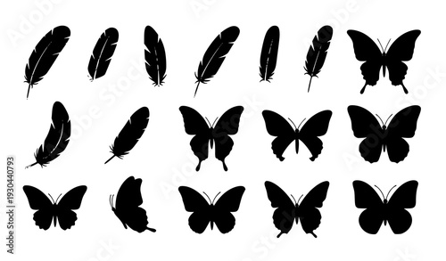 Minimal bird feather and butterfly flat vector icon collection
