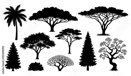 Detailed tree silhouettes vector set from various climate and natural zones