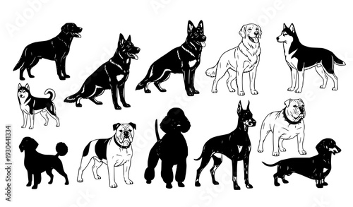 Realistic standing dog breed silhouettes vector set isolated on white
