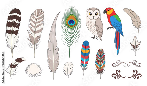 Set of bird feathers flat vector illustration isolated on white background