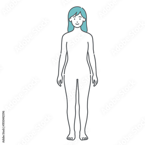 女性の人体図・全身モデルのイラスト（正面）