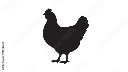 Black Silhouette Chicken Profile Illustration on White Background for Farm Animal Icon
