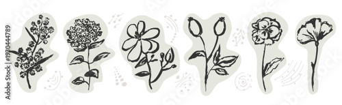 Hand-drawn flowers 12