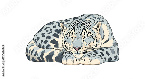 Leopard resting on white background with spots.