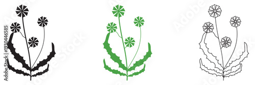  Wild Herb Silhouettes Vector Set Isolated. Collection of  wild herb silhouettes in flat vector style, isolated on white background for eco design and natural themes.