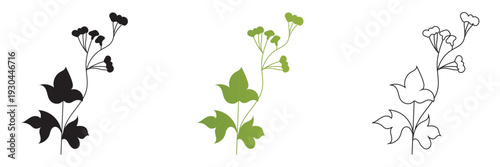  Wild Herb Silhouettes Vector Set Isolated. Collection of  wild herb silhouettes in flat vector style, isolated on white background for eco design and natural themes.