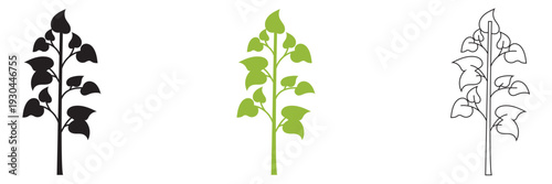  Wild Herb Silhouettes Vector Set Isolated. Collection of  wild herb silhouettes in flat vector style, isolated on white background for eco design and natural themes.