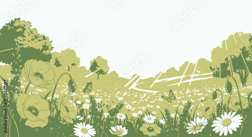 White Daisies in a Green Field.